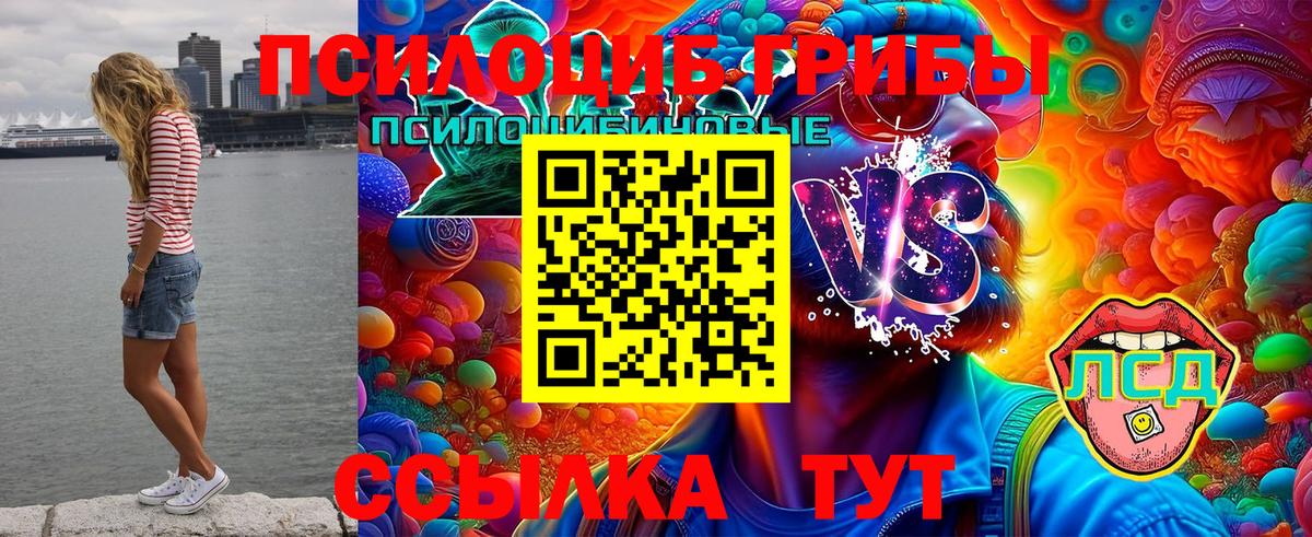 Псилоцибиновые грибы ЛСД Можайск