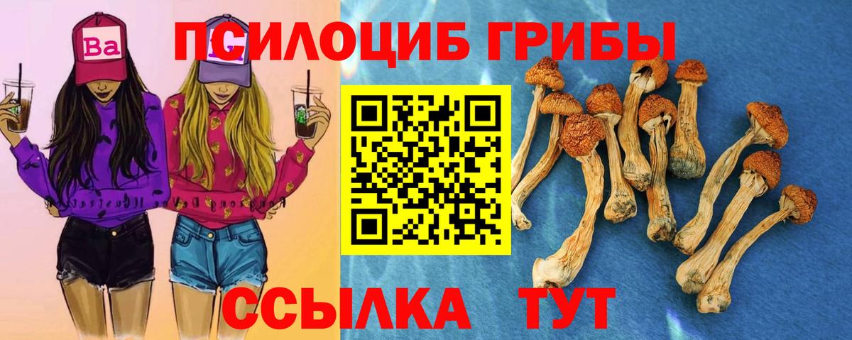 Галлюциногенные грибы мухоморы  Галлюциногенные грибы Psilocybine cubensis  Вход с VPN  Можайск 